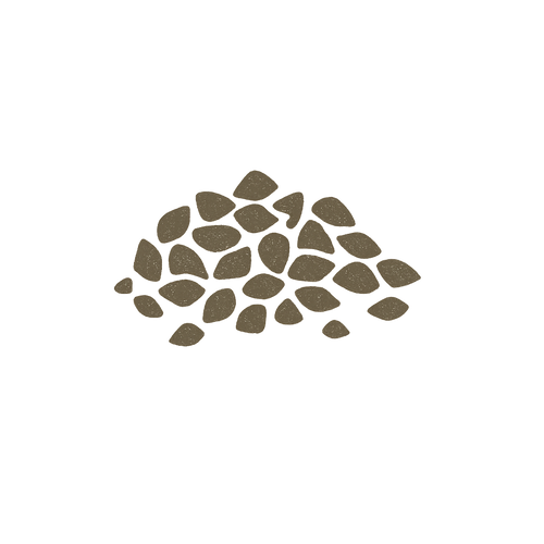 Extra Buckwheat Pillow Filling